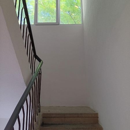 Apartman Sonja Albergue Dubrovnik Exterior foto